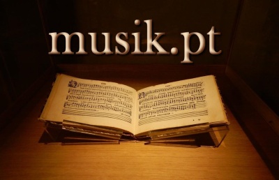 Musiker Domain